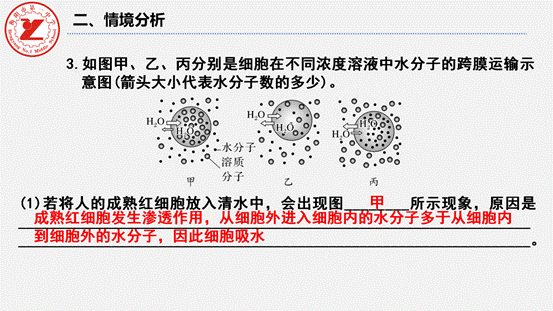 第7讲-水进出细胞的原理_11
