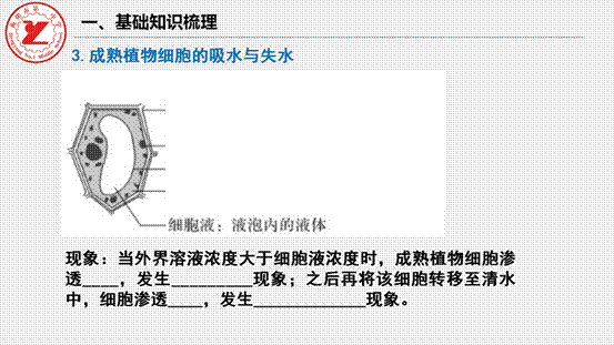 第7讲-水进出细胞的原理_07